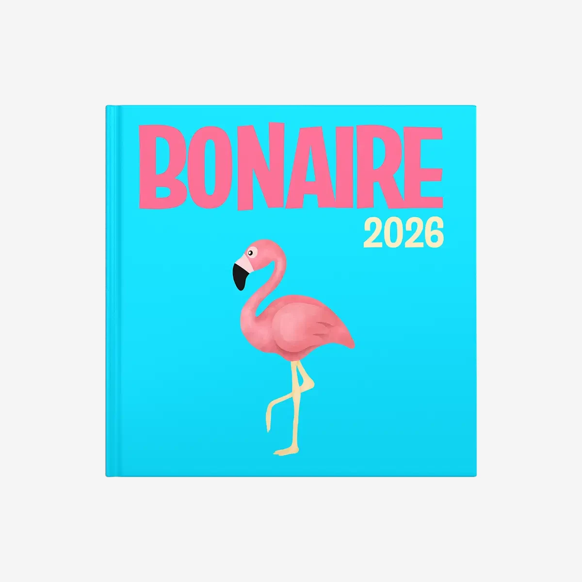 Bonaire — image 2