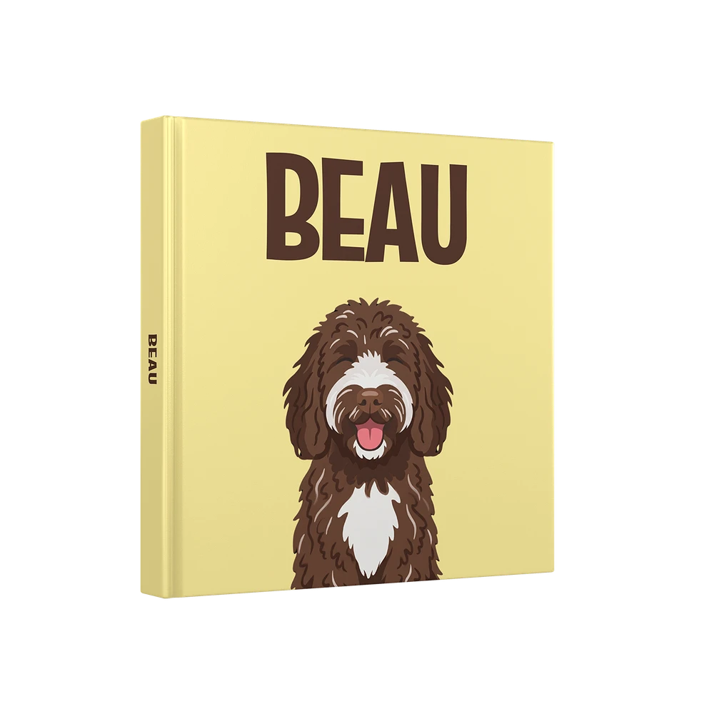 Labradoodle Chocolade