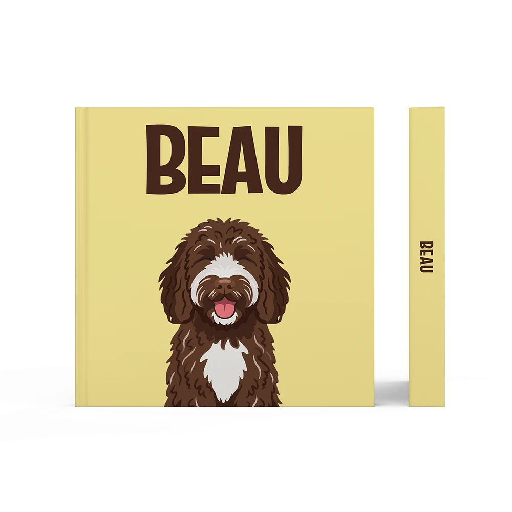 Labradoodle Chocolade — image 3