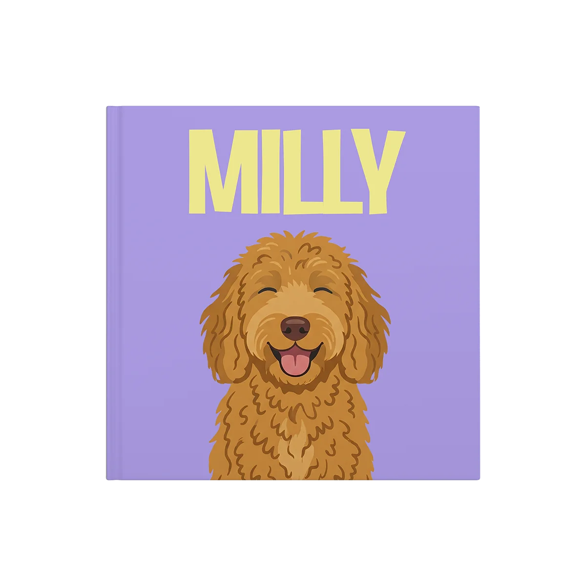 Labradoodle Goud 1 — image 2