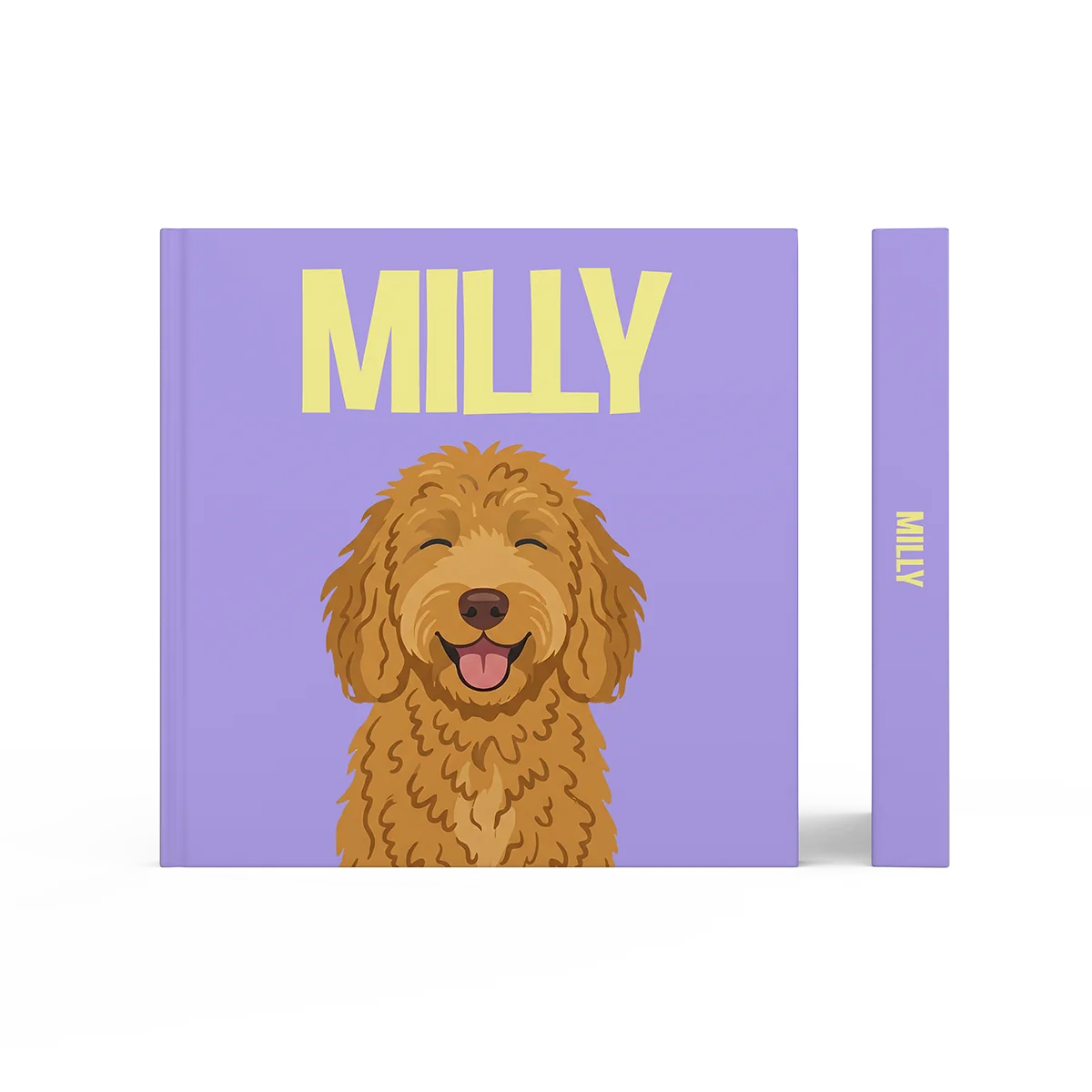 Labradoodle Goud 1 — image 3