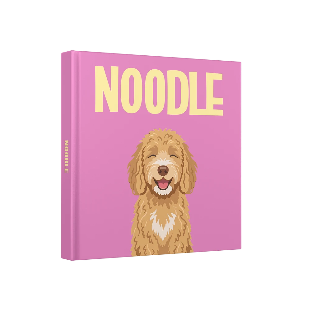 Labradoodle Goud — image 1