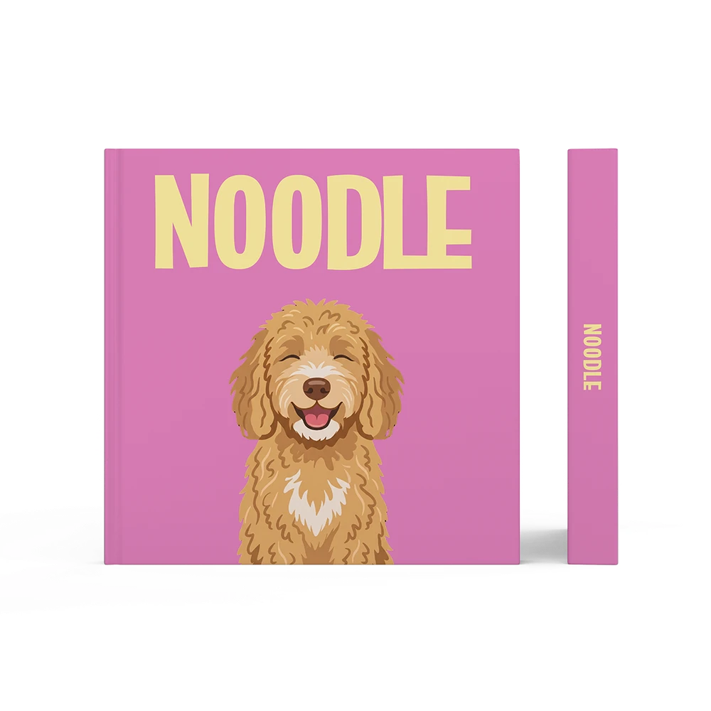 Labradoodle Goud — image 3