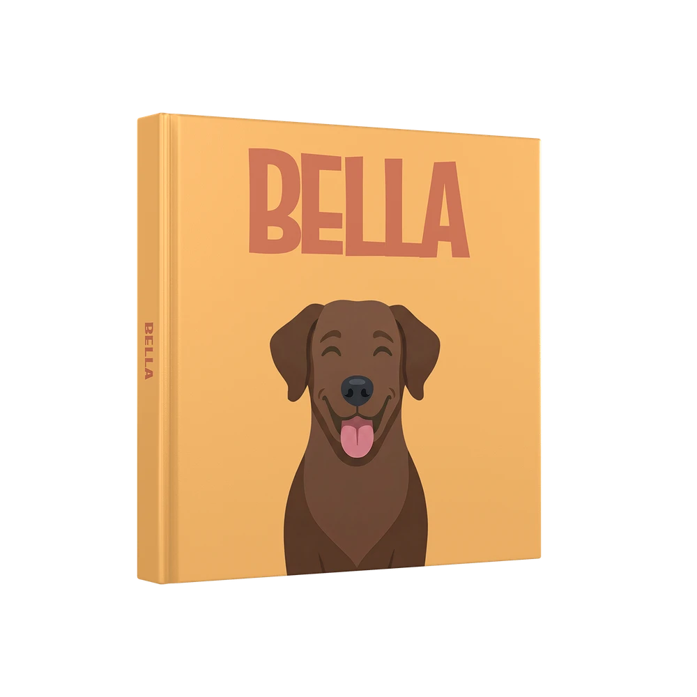Labrador Chocolade