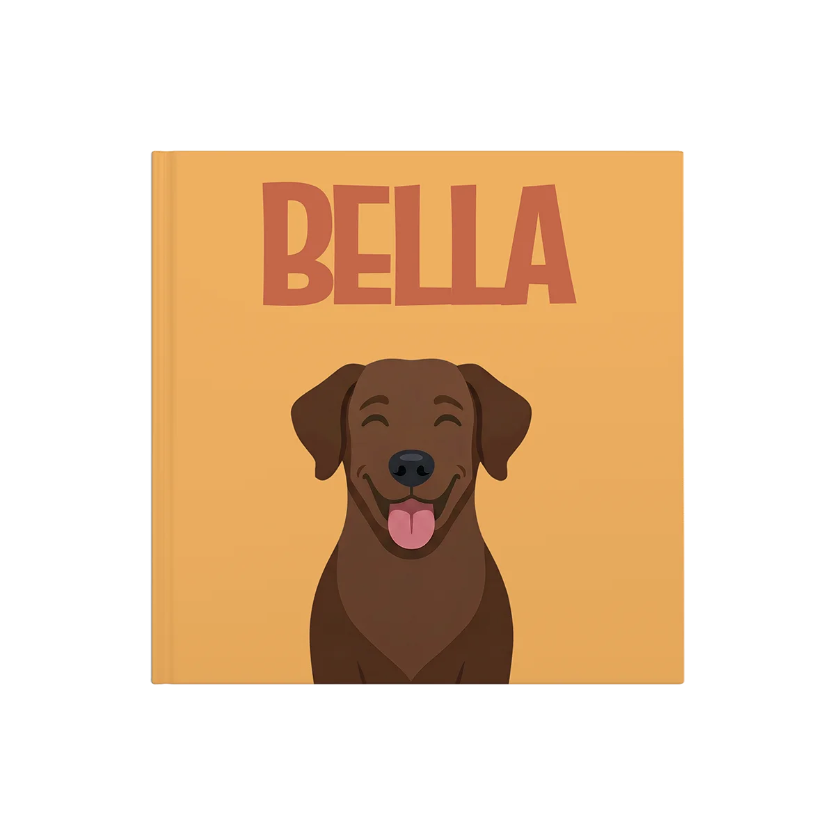 Labrador Chocolade — image 2