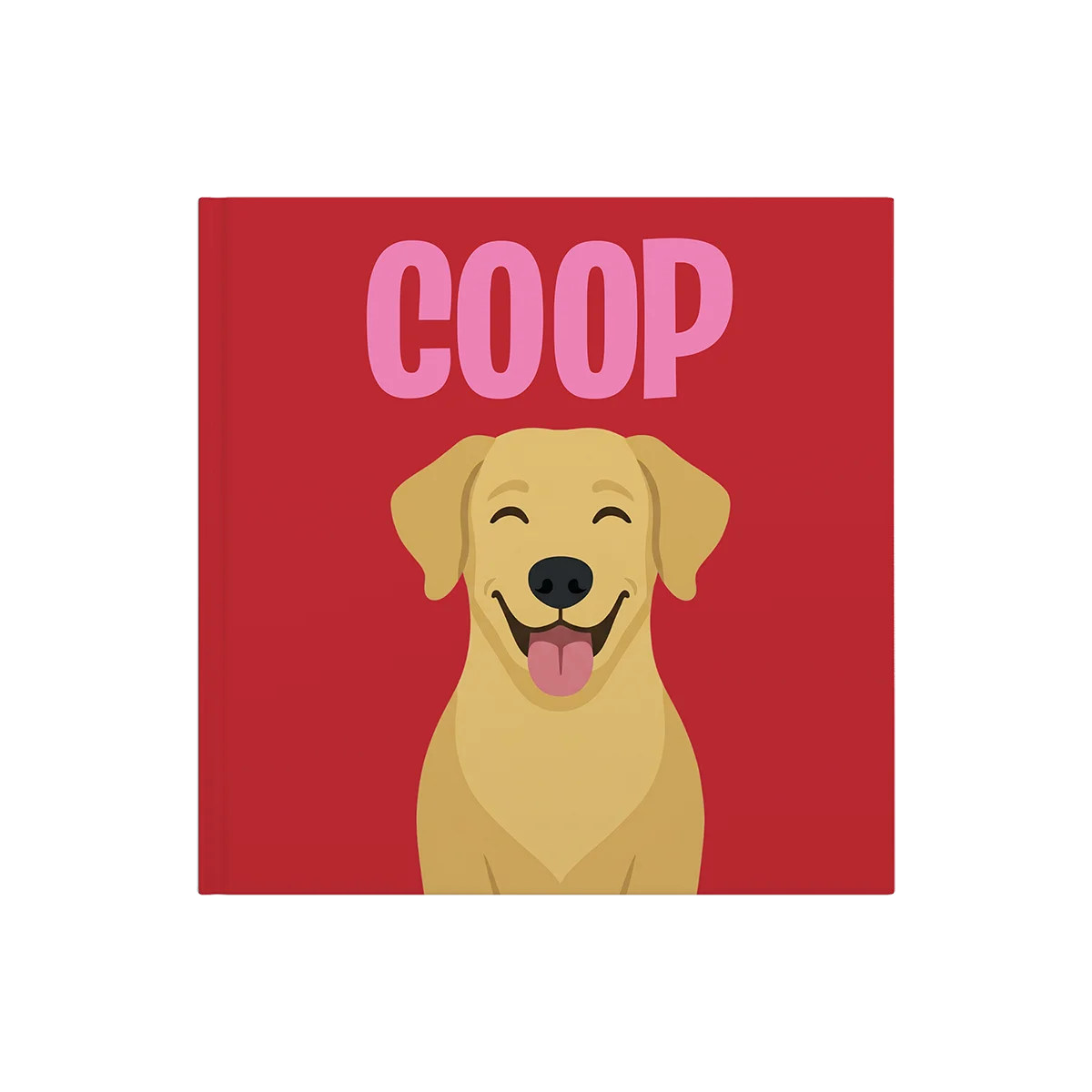 Labrador Goud — image 2