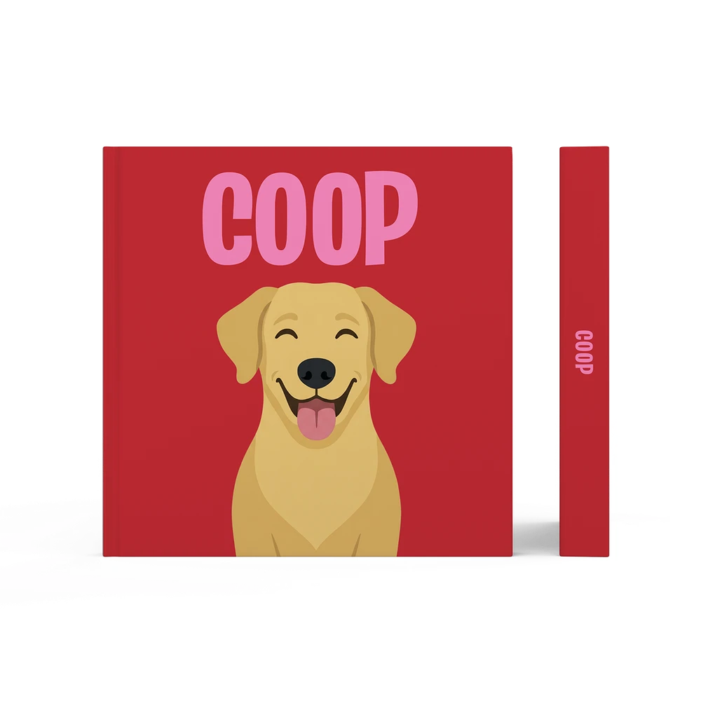 Labrador Goud — image 3