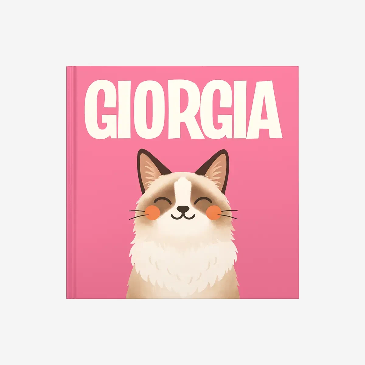 Ragdoll — image 2