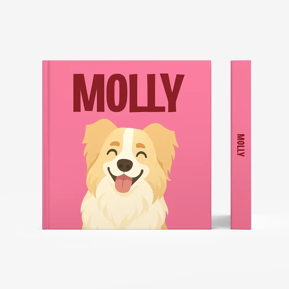 Toller Retriever — image 3